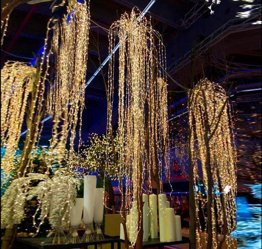 Гирлянда Конский хвост 600 LED: пучок 28 линий по 2,5 м, 25 диодов/ нить, цвет - тёпло-белый