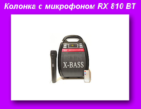 Радио RX 810 BT bluetooth,Портативная акустическая система RX-810BT,Колонка с микрофоном USB-FM