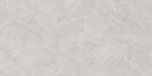 North Slate Grey 60x120