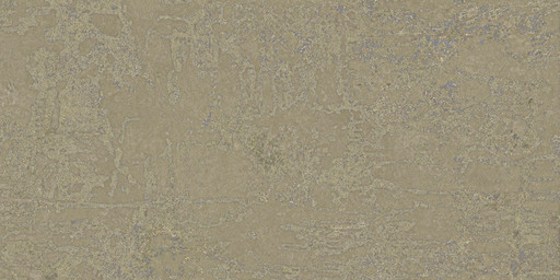 Fireclay Beige Natural 50x100