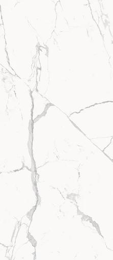 STE.STATUARIO WHITE 120X278