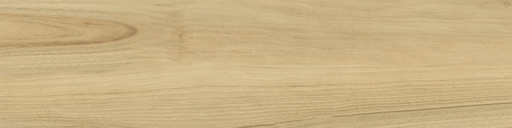 Maison Champagne 30x120