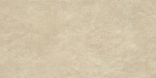 Skyline Ash 60x120