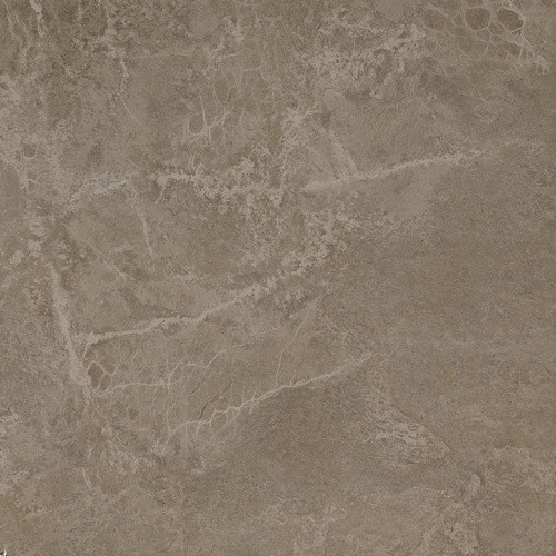 Force Grey 60x60