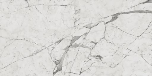 Charme Evo Statuario Nat 60x120