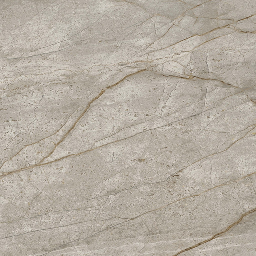 Empire Silver Root 60x60