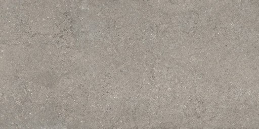 Discover Grey 60x120