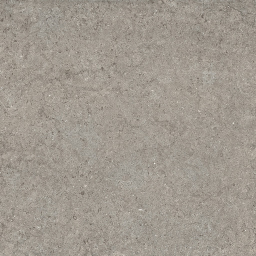 Discover Grey 60x60