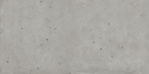 Avantgarde Silver 60x120