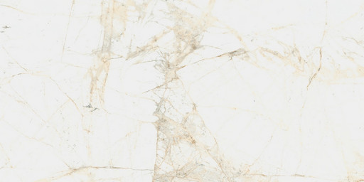 Canova White 60x120