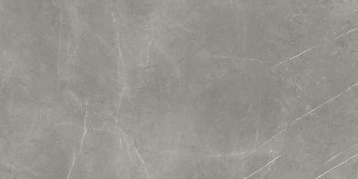 Forte Dei Marmi Elegant Grey Honed Satin 60x120