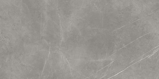 Forte Dei Marmi Elegant Grey Matt 80x160