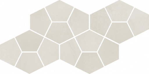 Continuum Polar Mosaico Prism 41.3x20.5