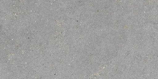 MITICA GRIS 60X120 REC.