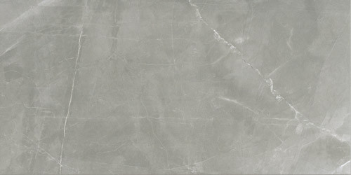 Timeless Amani Grey Glossy 60x120