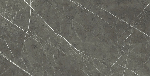 Prexious Rex Charming Amber Glo 60x120