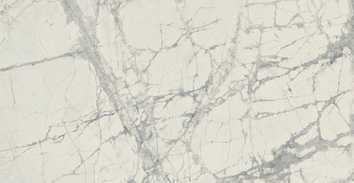 Prexious Rex Mountain Treasure Glossy 60x120