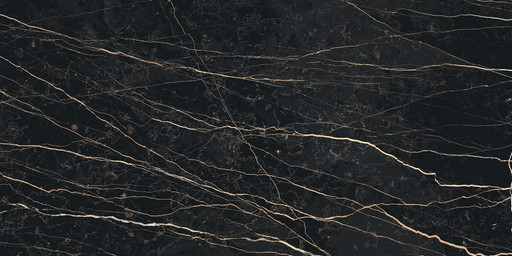 Prexious Rex Thunder Night Glossy 60x120