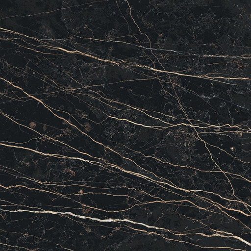 Prexious Rex Thunder Night Glo 60x60