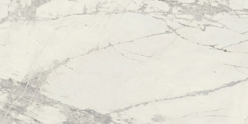 Prexious Rex Mountaintreasure Ma T30x60