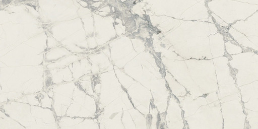 Prexious Rex Mountain Treasure Glo 30x60