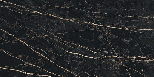 Prexious Rex Thunder Night Glo 30x60