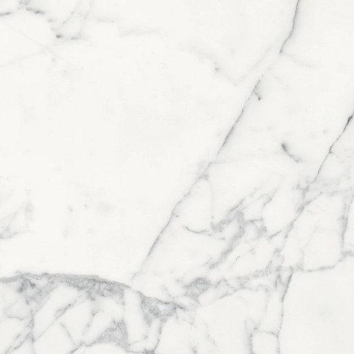 Origines De Rex Blanc Glossy 60x60