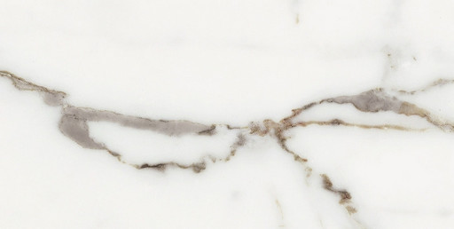 Origines De Rex Or Glossy 30x60