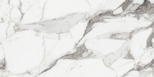 Origines De Rex Argent Glossy 60x120
