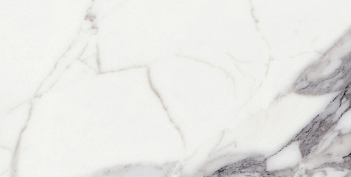 Origines De Rex Argent Matte 6mm 60x120