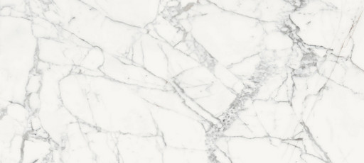 Origines De Rex Blanche Glossy 80x180