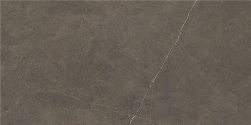 NORTHON TAUPE 60X120 PULIDO