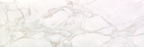 Roma Calacatta Matt 25x75