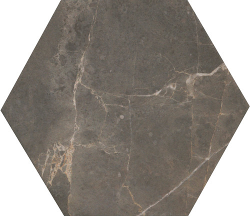 Roma Imperiale Esagono Matt 25x21.6