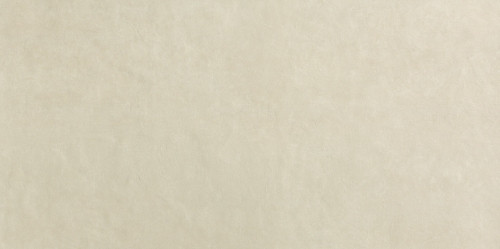 Bloom Beige 80x160