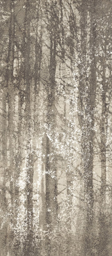 Ylico Wood Fog 120x278