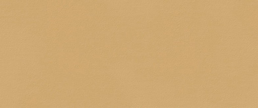 True Color Caramel Matt 50x120 True Color Caramel Matt 50x120
