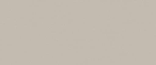 True Color Fossil Matt 50x120