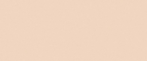 True Color Talc Matt 50x120