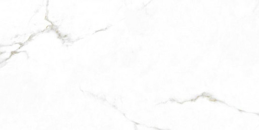 Monopole Augusta Gold 59×119