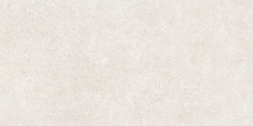 Sandstone Белый Матовый R10a 60x120