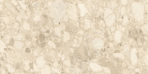 Softceppo Песочный Матовый R10a 60x120