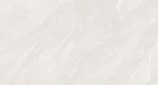 Slatestone Белый Матовый R10b 60x120