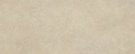 In-Side Terra Di Matera Fiammato 5+Mm 120x300