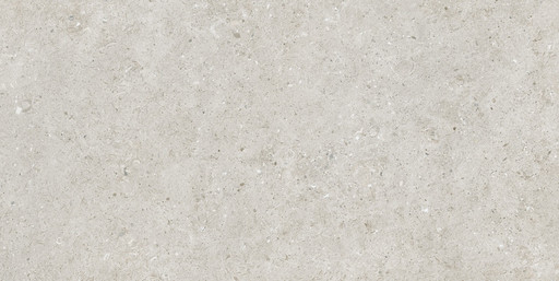 Beren Light Grey Ductile Soft 60x120