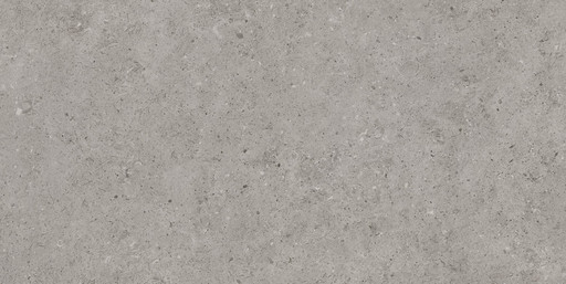 Beren Greige Ductile Soft 60x120