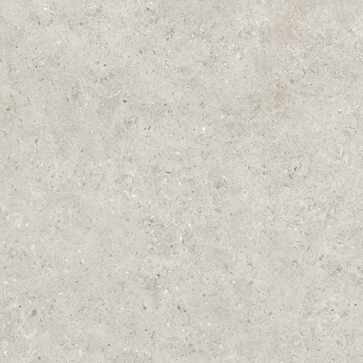 Beren Light Grey Natural 60x60