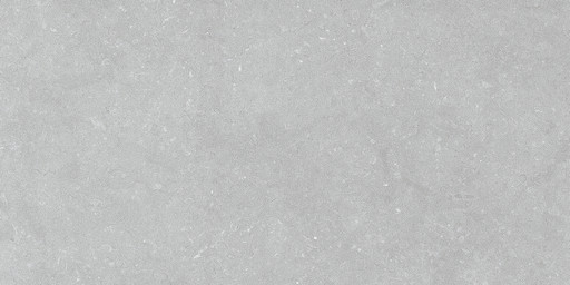 Noon Grey Ductile 60x120