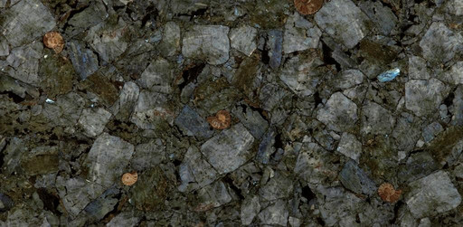 Labrador (Compound With Glass Backed)