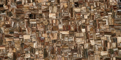 Petrified Wood (Party) (Compound With Granit)